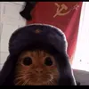 zdavita