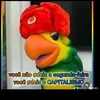 didheiwb