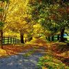 tilekkabylov_2202