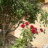 user54110430170080