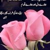 user400901612