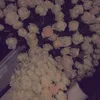 rose.r0se0