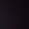 yannz773