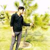 alihussnain8281