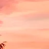 cattuon37_