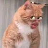 mtnb_zz1