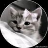 faiza.396