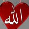 user20294436621026