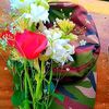 sanachowdhury47