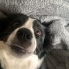 charlieiscool2