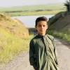 a_11_cr_7