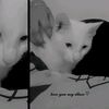 pooky0505