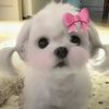 user844192042