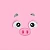 _piggy.official_8