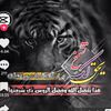 user8814755922716