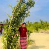 moesandikyaw95