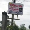 Xuyến Mai Vàng