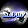 _sulwy17_