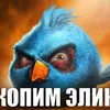vsevod_skvorcov