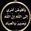 user8798154274201