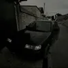 borz_05_dag