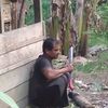 lenigea4
