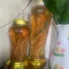 nghialive