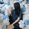 hoanguyen250206