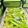 fruits0610
