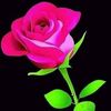 chitra.ronjon