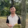 hoangtho4901
