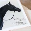najlampb5od