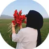 daekylawe0