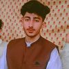 mrpatlushakrgharya