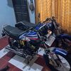 fakta135cc