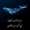 azza.eldeeb7