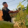 feri_indrianto
