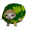 wladi0_hrooo