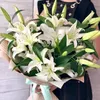 tusya519