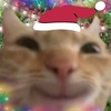 happylilcat11