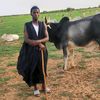 hamadoudiop322