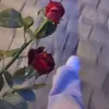 zzahraa8002