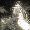capturedbyreese1