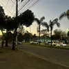 mlrxzt