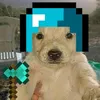 davipicapau5