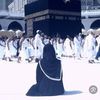 omamir625