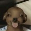 mikicaco