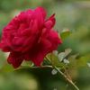 md.hamid.islam0
