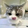 ppinky_ais.2