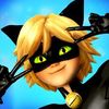 chat.noir745